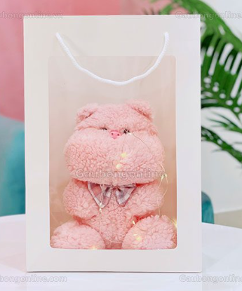Set quà tặng gấu bông 2